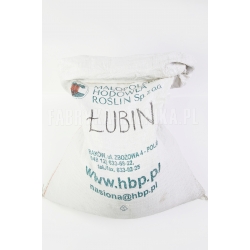Łubin-niebieski-gorzki